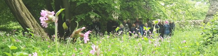 St. James South Elmham